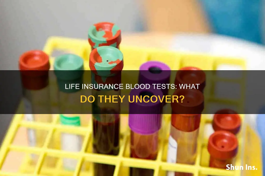 what do life insurance blood tests detect