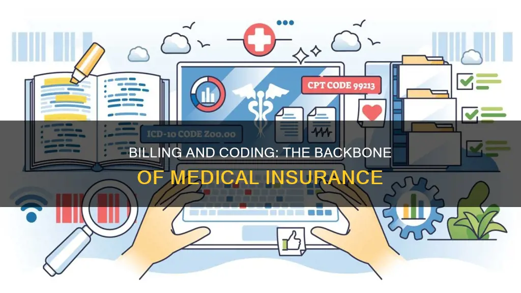 what do medical insurance billing and coding do