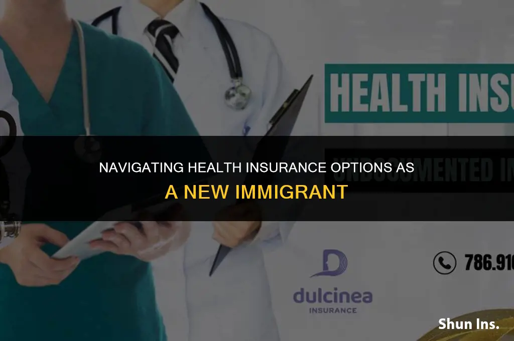 what do new immigrants do for health insurance
