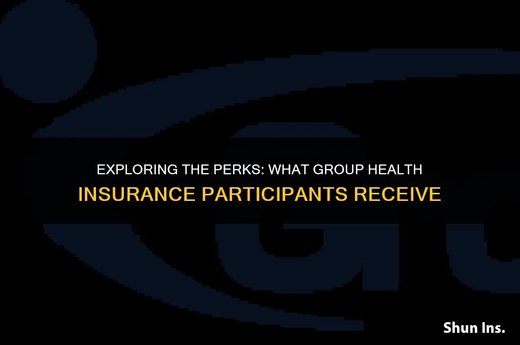 what do participants of the group health insurance receive