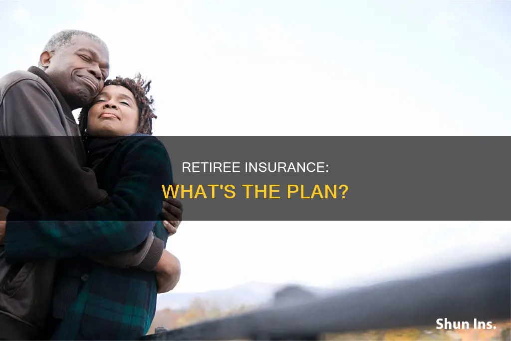 what do people do for insurance when they retire