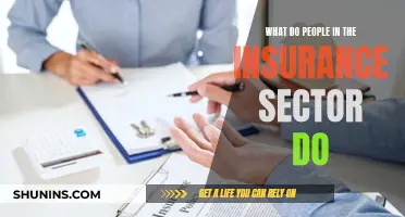 Insurance Sector: Protecting People, Property, and More