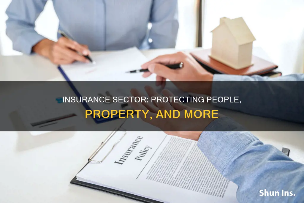 what do people in the insurance sector do