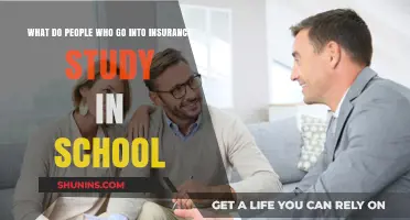 Insurance Careers: What to Study in School?