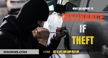 Theft Insurance Claims: What You Need to Report