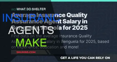 How Much Do Shelter Insurance Agents Earn?
