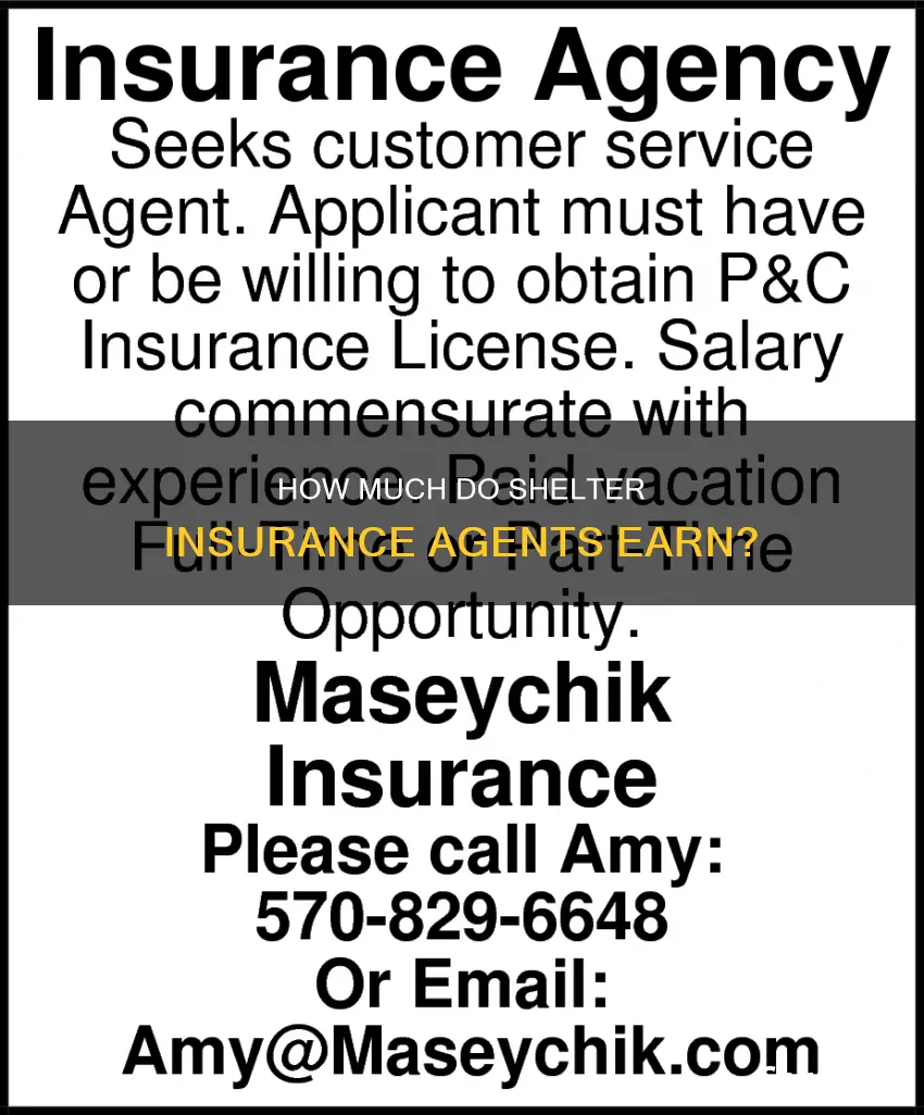 what do shelter insurance agents make