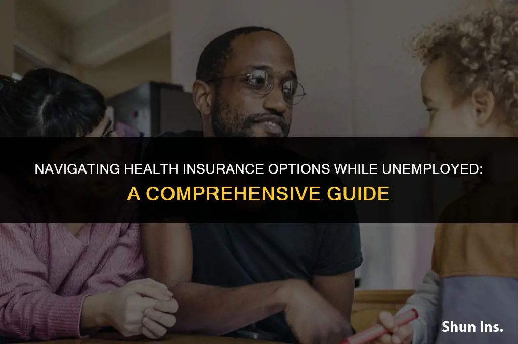 what do unemployed do for health insurance