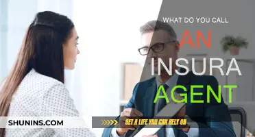 Insurance Agents: Roles and Titles Explained