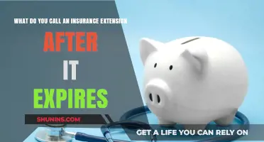 Understanding Insurance Extensions and Their Expiry Dates