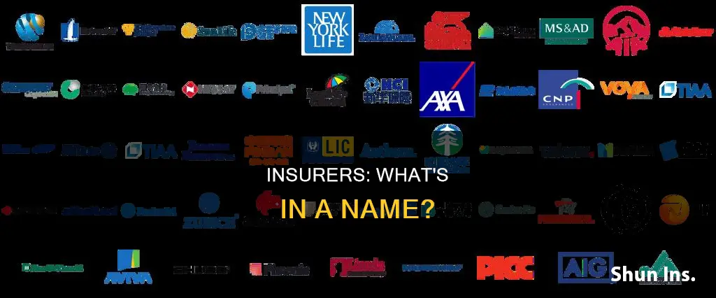 what do you call an insurer