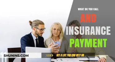Understanding Insurance Payment Terminology