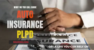 Understanding PLPD Auto Insurance: The Basics Explained