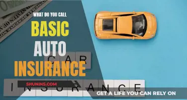 Understanding the Fundamentals of Auto Insurance Coverage