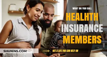Understanding Health Insurance Members: Who Are They?