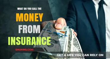 Understanding Insurance Payouts: Your Money After a Claim
