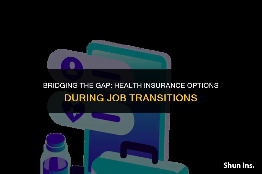 what do you do between jobs for health insurance