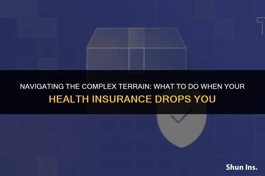 what do you do when your health insurance drops you