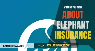 Elephant Insurance: What You Need to Know
