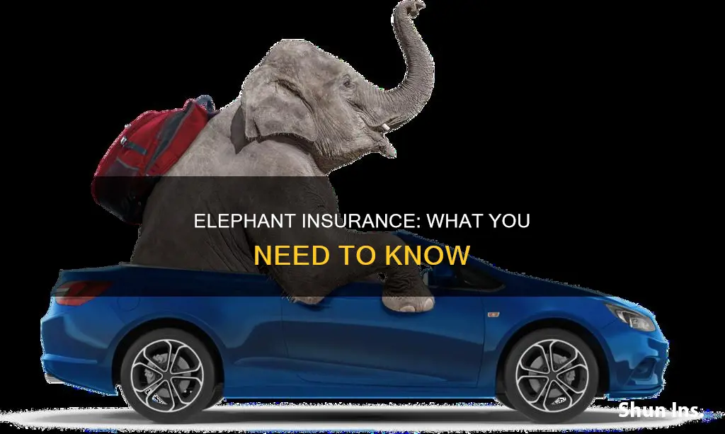 what do you know about elephant insurance