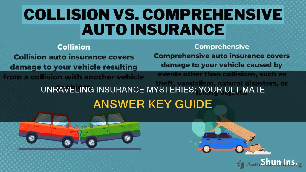 what do you know about insurance answer key