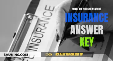 Understanding Insurance Basics: Your Essential Answer Key