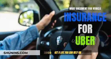 Insurance Documents for Uber Drivers