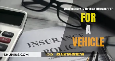 Vehicle Insurance File: What's Inside?