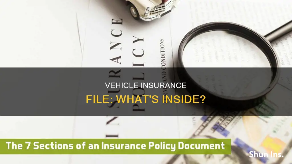 what documents are in an insurance file for a vehicle