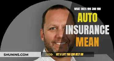 Understanding Auto Insurance: 100-300-100, What Does It Mean?