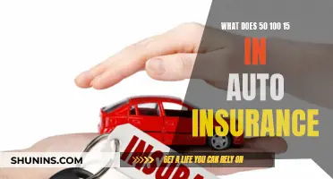 Understanding Auto Insurance: The Meaning of 50-100-15