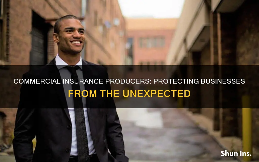 what does a commercial insurance producer do