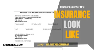 Understanding Auto Insurance: Policy Document Basics