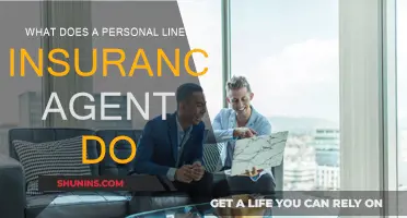 Personal Lines Insurance Agent: What's Their Role?