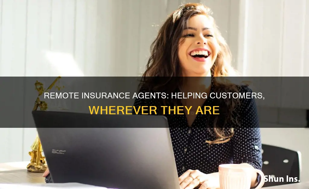 what does a remote insurance agent do