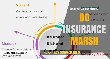 Risk Analyst: Uncover Insurance Mysteries and Secure Future