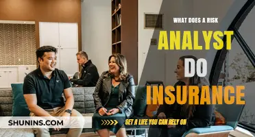 Risk Analyst: Insurance's Unseen Guardian