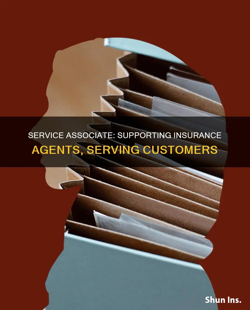 what does a service associate for an insurance agent do
