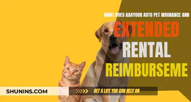 Auto Pet Insurance: Extended Rental Reimbursement Explained