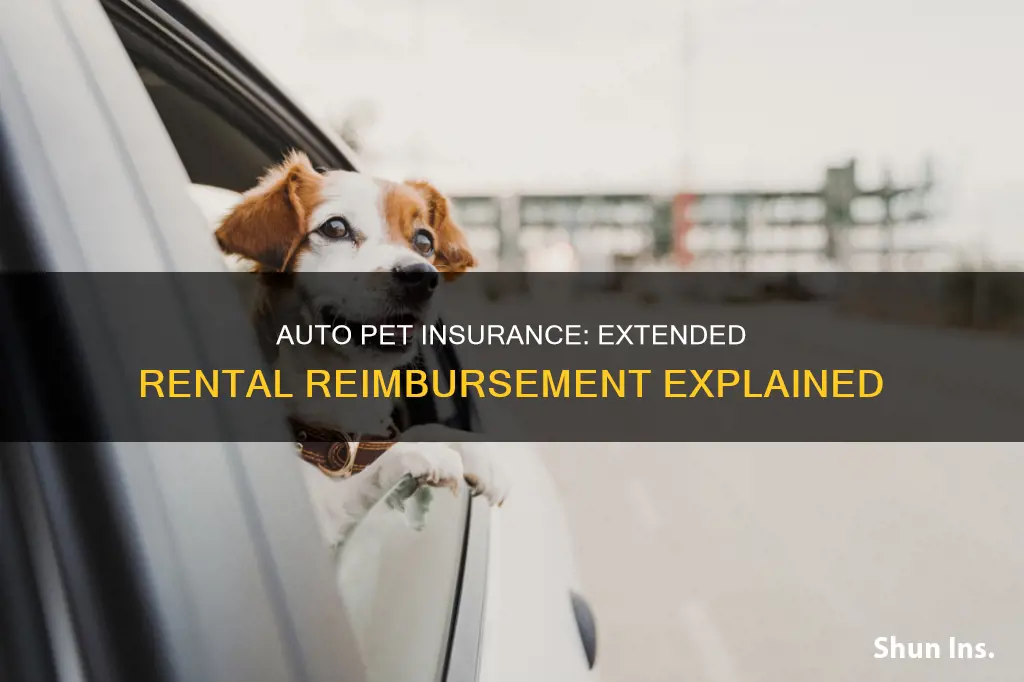 what does aaayour auto pet insurance and extended rental reimbursement