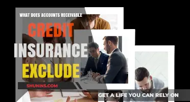 Credit Insurance: What's Not Covered in Accounts Receivable