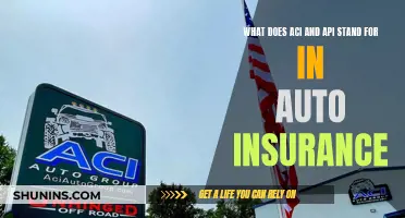 Understanding Auto Insurance: ACI and API Explained