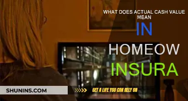 Understanding Actual Cash Value in Homeowners Insurance Claims