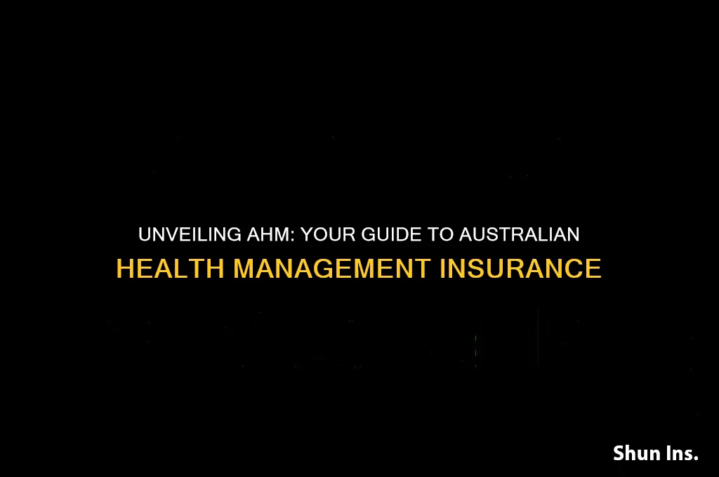 what does ahm health insurance stand for