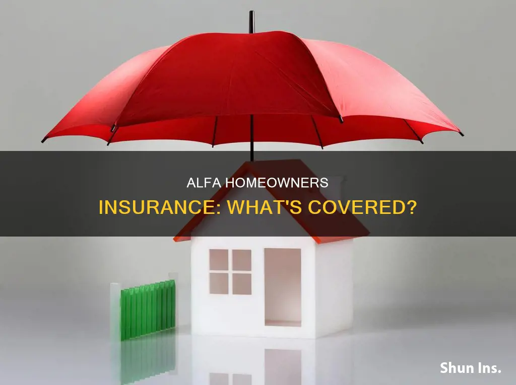 what does alfa homeowners insurance cover