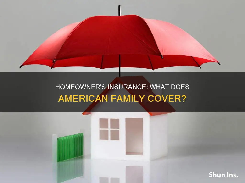 what does american family homeowners insurance cover