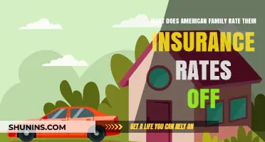 American Family Insurance: Rating Factors and You