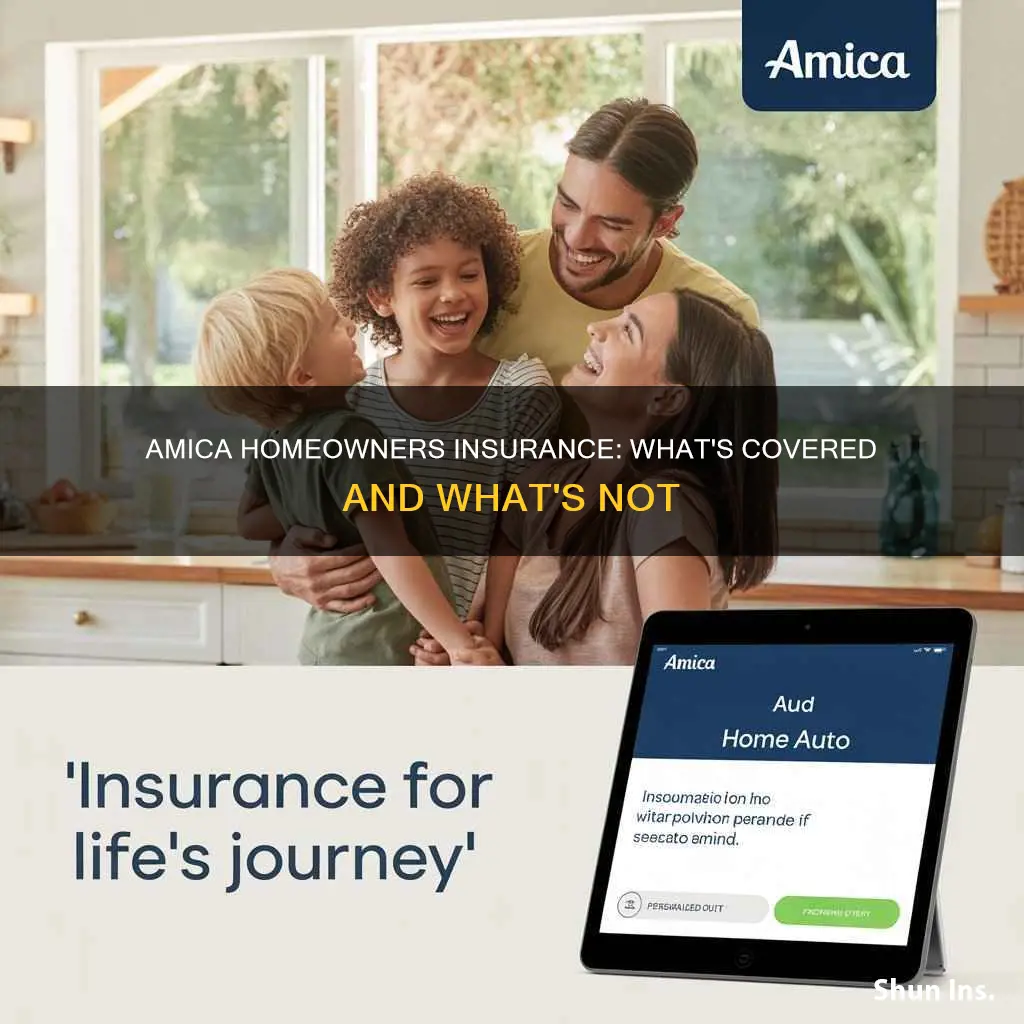 what does amica homeowners insurance cover