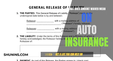 Auto Insurance Amount Waiver: What Does It Mean?