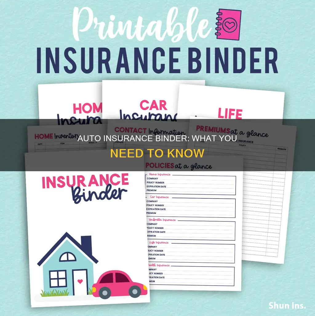 what does an auto insurance binder look like